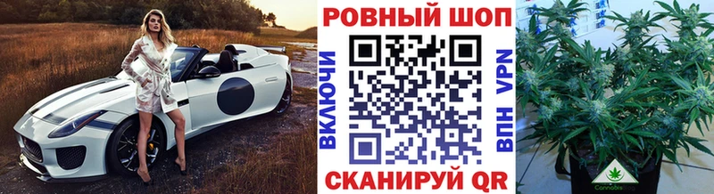 Где купить наркотики Курчалой Гашиш Бошки Шишки Мефедрон