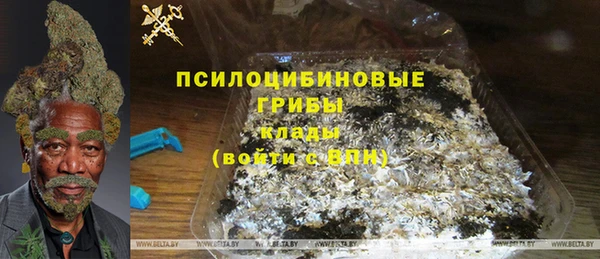 молекула духа Алексеевка