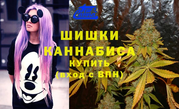 молекула духа Алексеевка