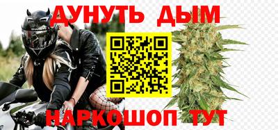 дмт Кингисепп