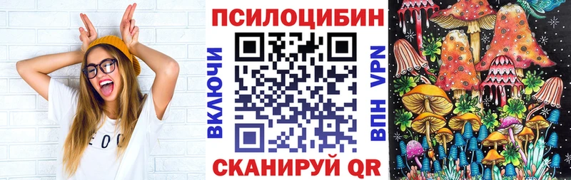Галлюциногенные грибы Psilocybe  купить   Курчалой 