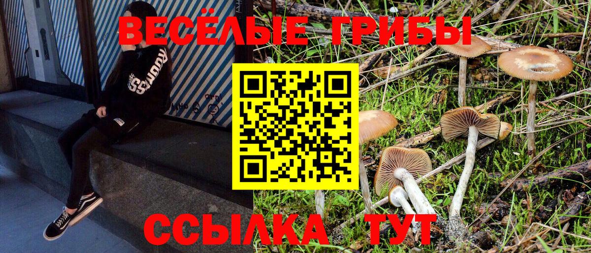 Галлюциногенные грибы MAGIC MUSHROOMS Курчалой