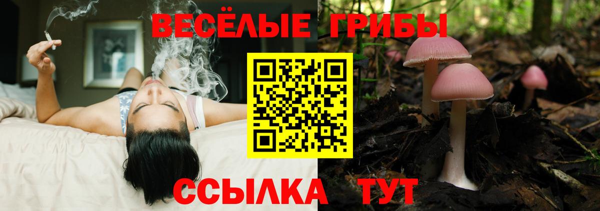 Курчалой  Галлюциногенные грибы мухоморы  Галлюциногенные грибы ЛСД  Вход с VPN 